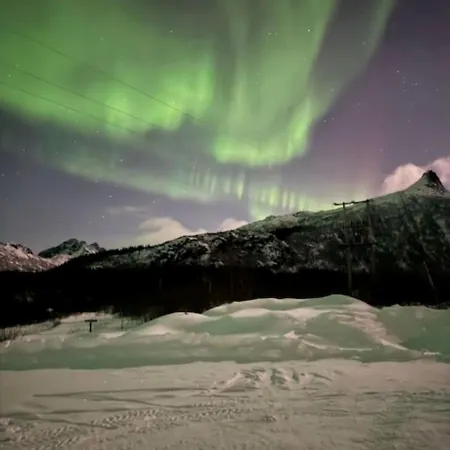 Hus I Olderfjord Lyngværet